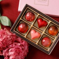 ショコラアソートルージュ6