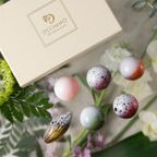 ショコラアソート サクラ6 母の日2026 4