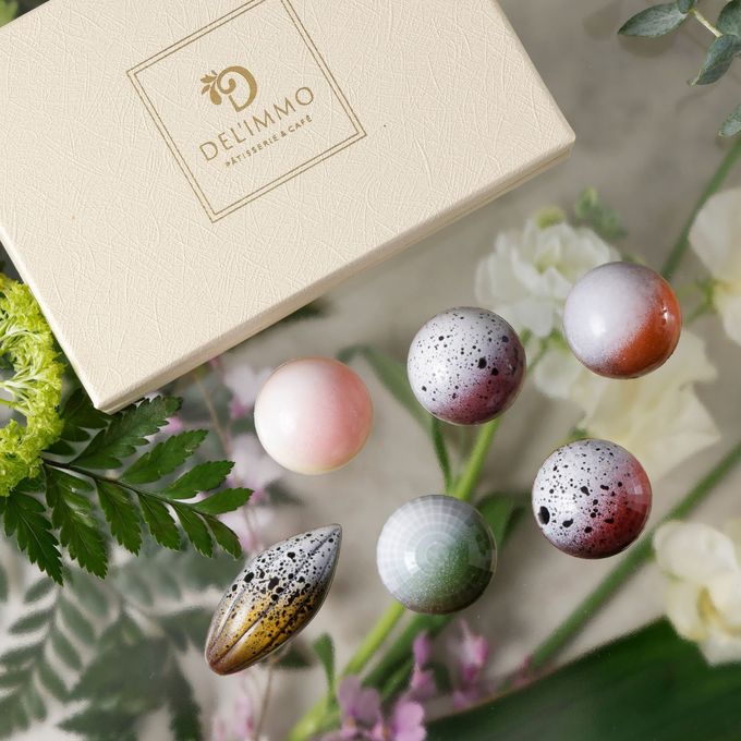 ショコラアソート サクラ6 母の日2026 4