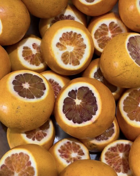 愛媛県産無農薬ブラッドオレンジ 1