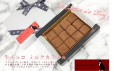 生チョコミルクカラメル 12個入り バレンタイン2025 2