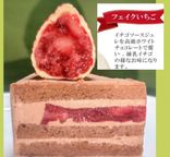 フェイクイチゴの生チョコクリームケーキ 5号  クリスマス2024 4