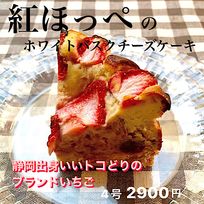 春限定！【紅ほっぺのホワイトバスクチーズケーキ】４号  