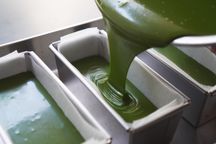 濃厚抹茶ガトーショコラ 母の日のギフト・プレゼント2025 9