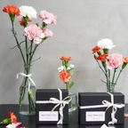 【母の日限定】生チョコガトーショコラ CAFE&WEDDING22  5