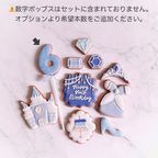 【誕生日・記念日】PRINCESS JEWEL BOX セミオーダーアイシングクッキー 9～13枚入り 2