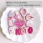 【誕生日・記念日】PRINCESS DREAM BOX セミオーダーアイシングクッキー 7枚入り～ 3