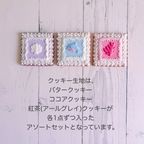 MY FAVORITE THINGS -SUMMER- アイシングクッキー 3枚入り 2
