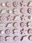MINI SHELLS アイシングクッキー 6枚入り 5
