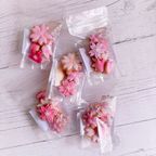 サクラのアイシングクッキー 6枚入り 5