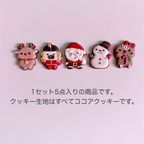 CHRISTMAS ALLSTARS アイシングクッキー 5枚入り クリスマス2025 5