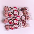 CHRISTMAS ALLSTARS アイシングクッキー 5枚入り クリスマス2025 6