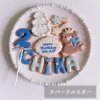 【誕生日・推し活】バースデーアイシングクッキーセット セミオーダー 7枚～入り 3