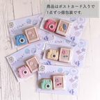 SUMMER MEMORIES アイシングクッキー 2枚入り お中元2026 5