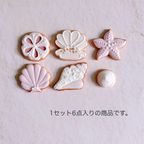 MINI SHELLS アイシングクッキー 6枚入り 2