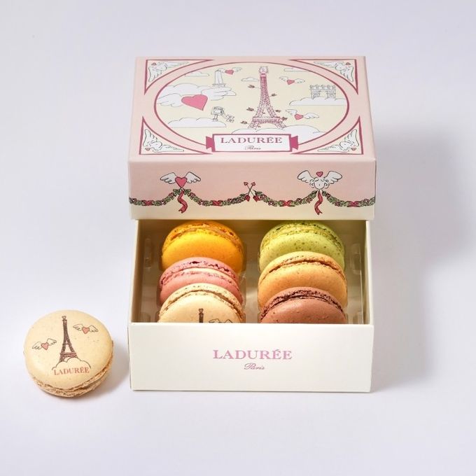 【ラデュレ】アムール・ド・パリ マカロン6個入り バレンタイン2026 2