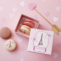 【ラデュレ】アムール・ド・パリ マカロン2個入り バレンタイン2026