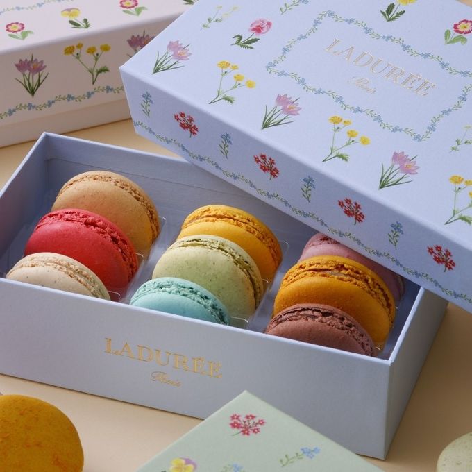 【ラデュレ】ドゥース・フルール マカロン9個入り ホワイトデー2026 3