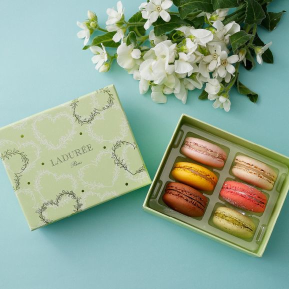 【LADUREE】ホワイト・ジャスミン マカロン6個入り