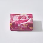 【ラデュレ】mika ninagawa マカロン8個入り［お中元2026］ 4
