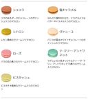 【ラデュレ】アンタンポレル・パルム マカロン9個入り 3