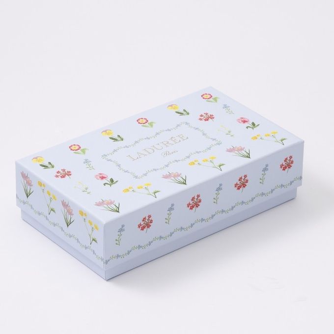 【ラデュレ】ドゥース・フルール マカロン9個入り ホワイトデー2026 5