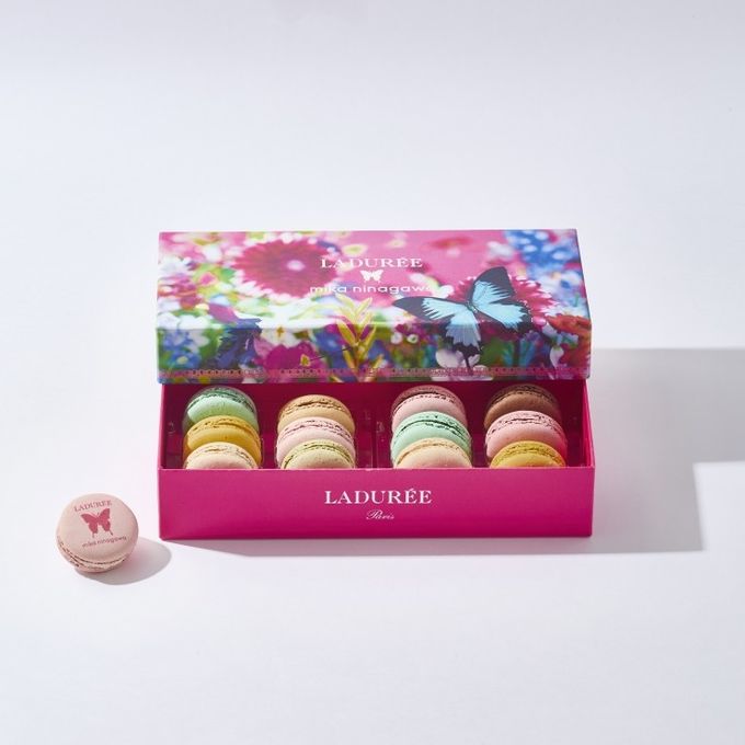 【ラデュレ】mika ninagawa マカロン12個入り［お中元2026］ 2