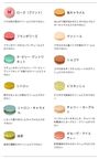 【ラデュレ】mika ninagawa マカロン12個入り［お中元2026］ 6