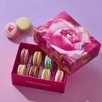 【ラデュレ】mika ninagawa マカロン8個入り［お中元2026］ 1