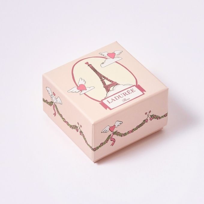【ラデュレ】アムール・ド・パリ マカロン2個入り バレンタイン2026 3