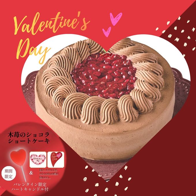 限定価格＆数量はバレンタインまで！木苺のショコラショートケーキ 5号 チョコレートケーキ 冷凍ケーキ  誕生日 ギフト バレンタイン2026  1