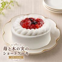 苺と木の実のショートケーキ 4号 12cm 名入れ メッセージ 選択可 チョコ プレート  