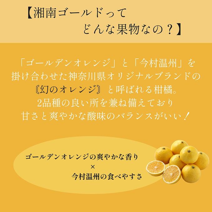 クリスマスアイスケーキ 湘南ゴールドとチーズアイスケーキ 15cmクリスマス2025 5