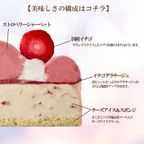 《アイスケーキ》ベリーストロベリーチーズパイ 5号 15cm 4