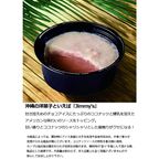  沖縄 ジミー ジャーマンケーキ アイス 6個セット アイスクリーム   沖縄 Jimmy'sコラボ商品 ご当地 アイスクリーム ギフト 誕生日 アイス 父の日2026 2