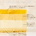 《アイスケーキ 》アイスケーキ 湘南ゴールドとチーズアイスケーキ (直径15cm)  3