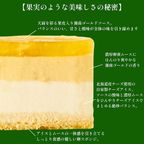 《アイスケーキ 》アイスケーキ 湘南ゴールドとチーズアイスケーキ (直径15cm) 推し活 にも オレンジ イエロー 黄色 4