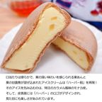 ご当地 アイスクリーム詰め合わせ 関東銘菓 アイスセット 神奈川の横濱ハーバー 埼玉の十万石まんじゅう をそれぞれアイスで愉しむ 2種5個 10個入 父の日2026  6