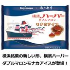  ご当地アイス 詰め合わせ アイス ギフト 食べ比べ セット！人気 コラボ 冷凍 スイーツ 和洋 アイスセット 熨斗 対応 5種10個入 埼玉 十万石まんじゅう アイス 横浜 ハーバー 梅園 くまどり 8