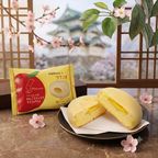アイスクリーム  パティシエのりんごスティックモナカアイス 6個セット 青森 ラグノオささき 新宿Kojimaya コラボ 商品 お中元 2026 アイス2026 3