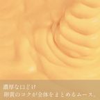 《アイスケーキ 》アイスケーキ 湘南ゴールドとチーズアイスケーキ (直径15cm)  6