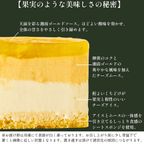 クリスマスアイスケーキ 湘南ゴールドとチーズアイスケーキ 15cmクリスマス2025 3