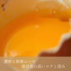 クリスマスアイスケーキ 湘南ゴールドとチーズアイスケーキ 15cmクリスマス2025 7