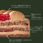 クリスマスケーキ 木苺のショコラショートケーキ 5号 15cmクリスマス2025 2