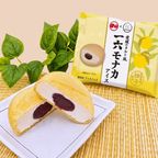 アイスクリーム  愛媛 の タルト風  一六モナカ アイス 6個セット一六本舗 コラボ もなかアイス 新宿Kojimaya お中元 2026 アイス2026 2