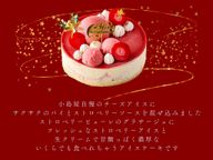 クリスマスケーキ《アイスケーキ》ベリーストロベリーチーズパイ 5号 15cm クリスマス2024 4