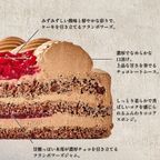 2026年NEW！木苺のショコラショートケーキ 5号 チョコレートケーキ 冷凍ケーキ 誕生日 バレンタイン ギフト メッセージカード 対応 4