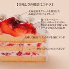 苺と木の実のショートケーキ 5号 15cm 名入れ メッセージ 選択可 チョコプレート  ハロウィン 2026 3