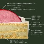 クリスマスケーキ サンタさんのお腹がチラリ！HoHoHo 5号 15cmクリスマス2025 2