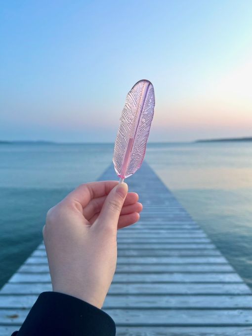 朱鷺の羽根キャンディ 1